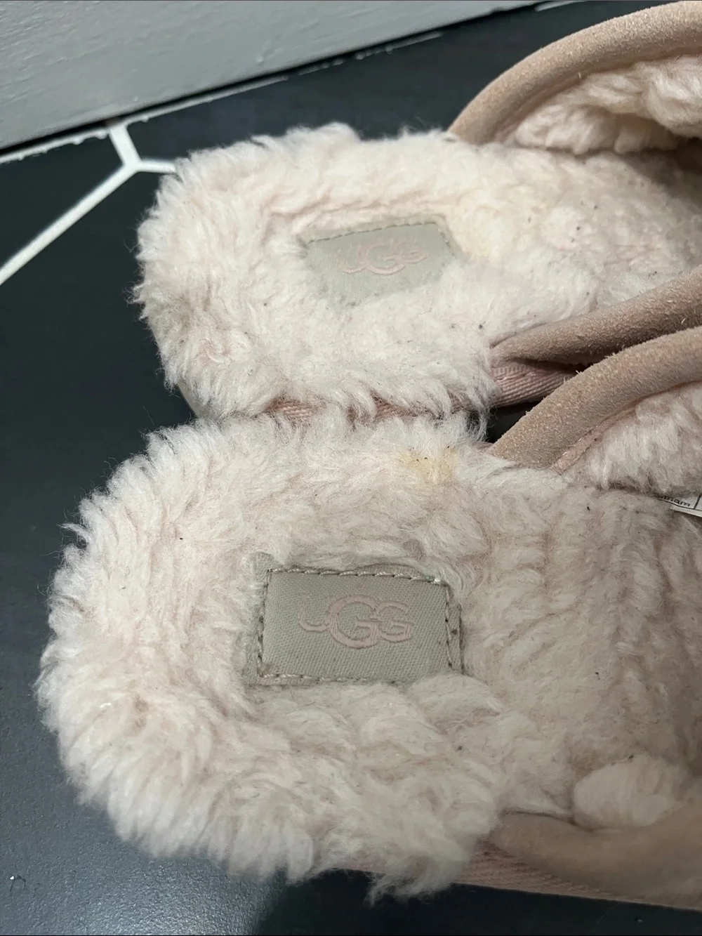 UGG Blush Suede Shearling Mule Slippers